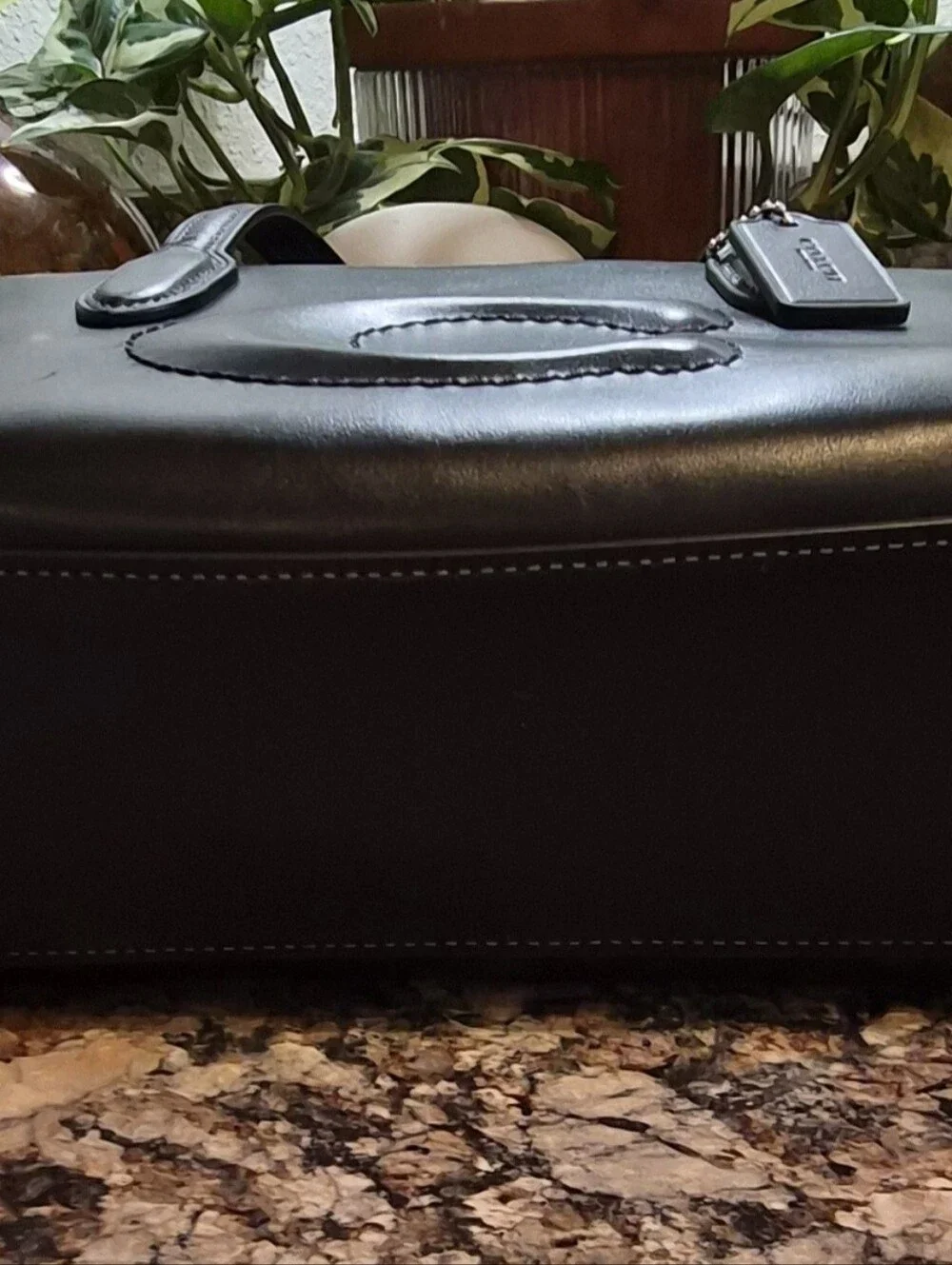 NWOT Coach Nina Mini Tote